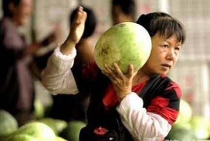 吃瓜六队,一场娱乐界的风云际会