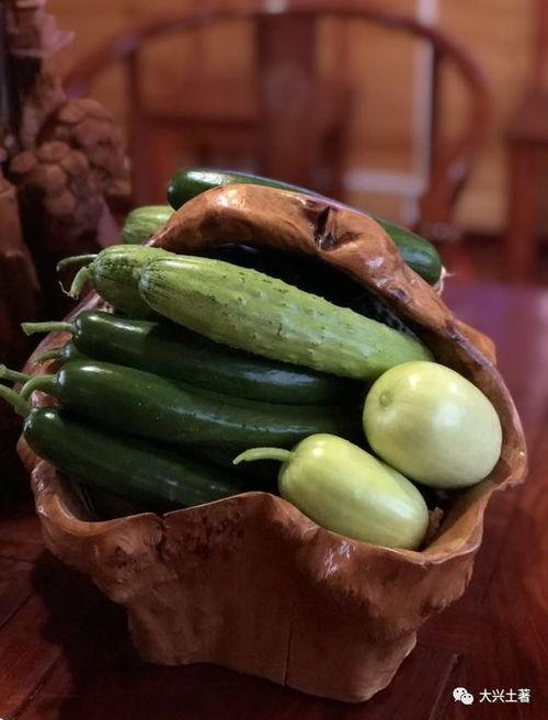 反差网红吃瓜,吃瓜群众眼中的“瓜王”揭秘