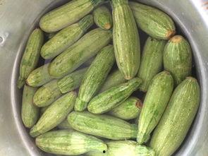 小角瓜怎么切块吃,轻松解锁美味新吃法