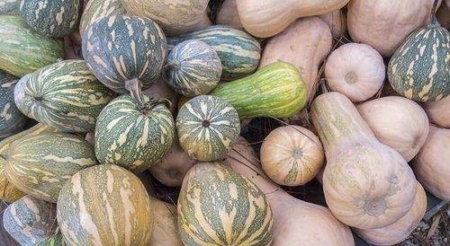 四川吃瓜女,麻辣鲜香中的生活百态