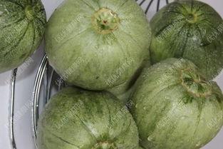 孕妇能否吃胜瓜,胜瓜的适宜与禁忌