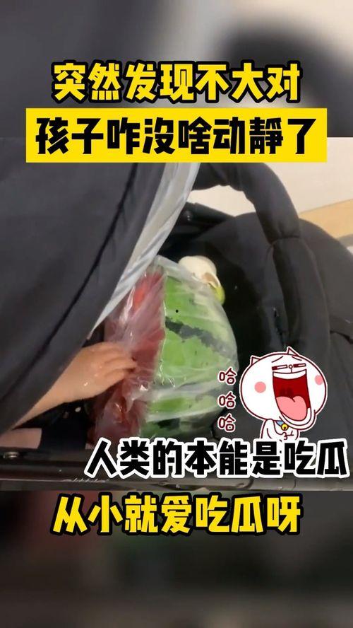 吃瓜孩子打架视频