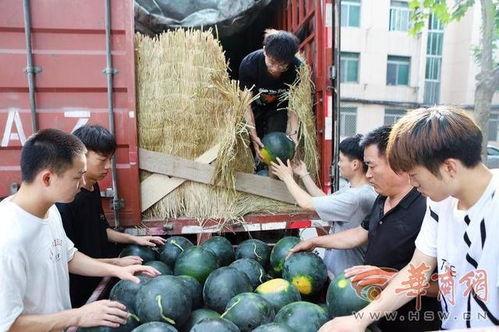 贵州师范学院 吃瓜,吃瓜群众眼中的校园风云录