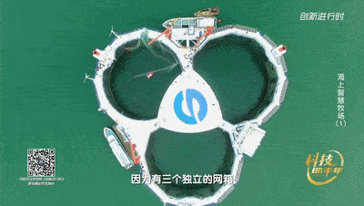 请你疯狂吃瓜,揭秘娱乐圈那些不为人知的幕后故事