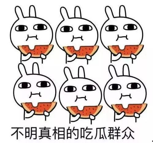 吃瓜人的必备,解锁娱乐八卦的通关秘籍