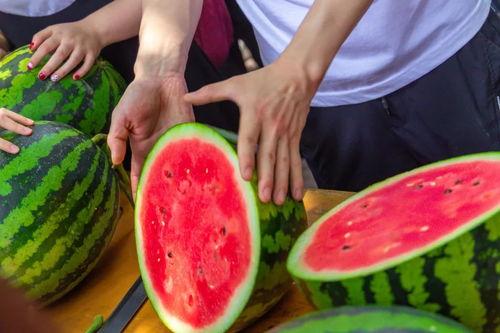 吃瓜杭州大学,揭秘杭州大学生的“吃瓜”生活