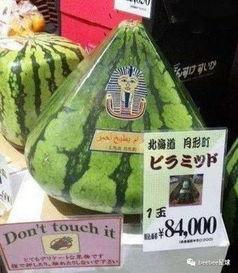 穿越70吃瓜群众,一位吃瓜群众的亲身经历