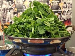 香菜很会吃的瓜,舌尖上的美味探险