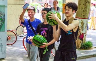 吃瓜学校椅子,椅子背后的故事与秘密